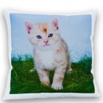 cats pillow